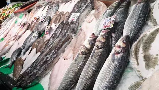 Crean en Granada un sensor inteligente para detectar la frescura del pescado y la carne