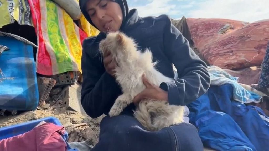 Una pareja gazatí regresa a las ruinas de su casa y encuentra vivo a su gato