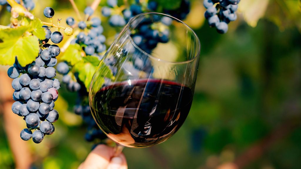 ¿Cómo se produce el vino sin alcohol?