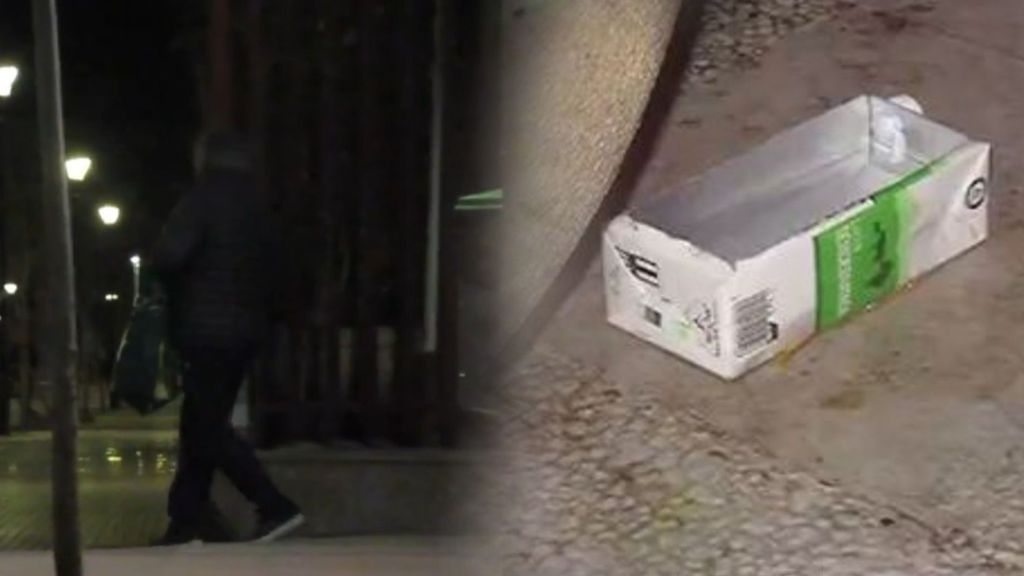 Un hombre envenena a los gatos en Murcia