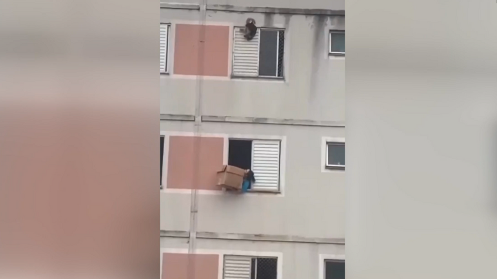 La audacia de una mujer salva la vida a un perro a punto de caer por la ventana