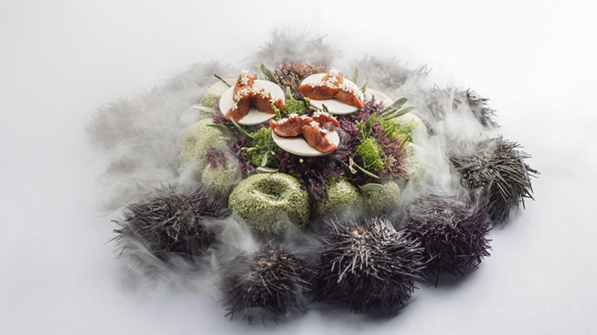 El erizo de mar de Aponiente