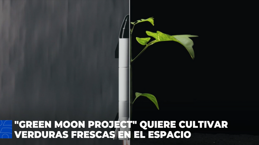 'Green Moon Project' quiere cultivar verduras en la Luna