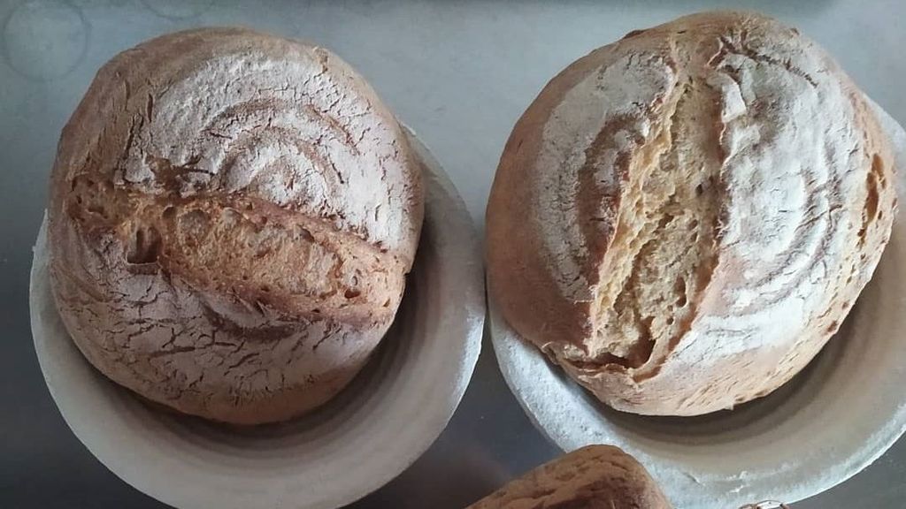 Panes sin gluten.