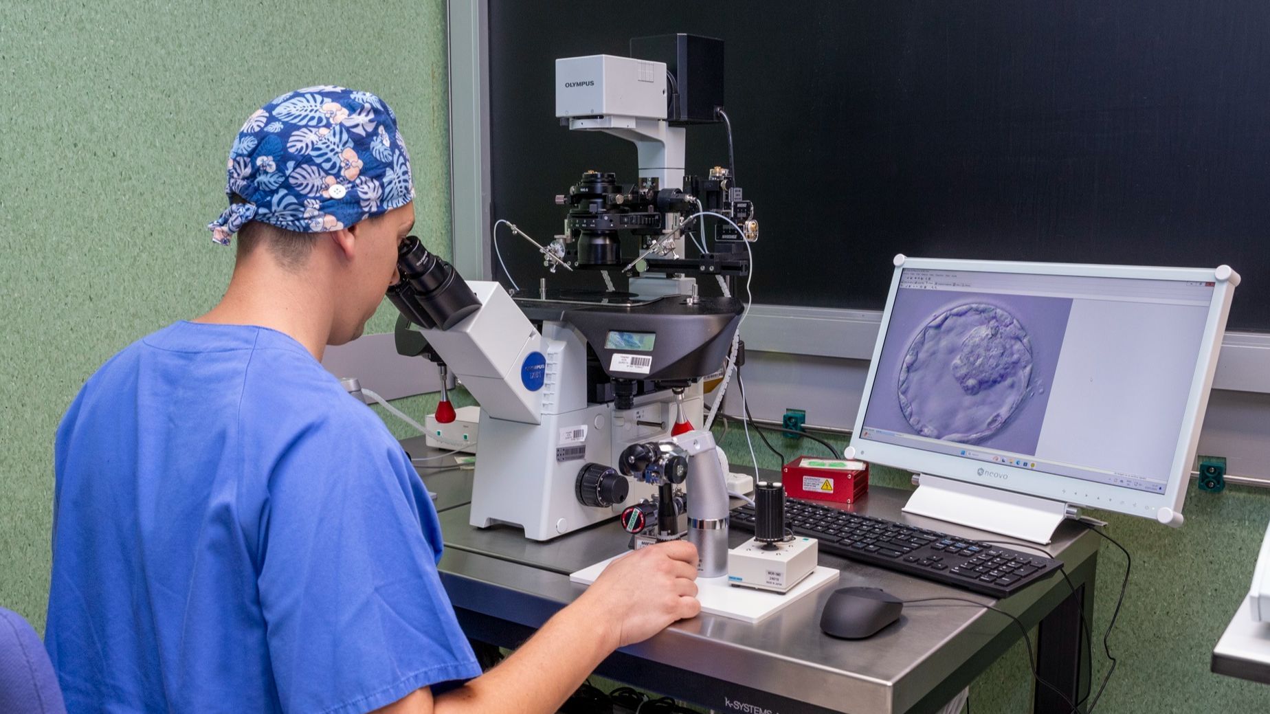 Evolución de la reproducción asistida