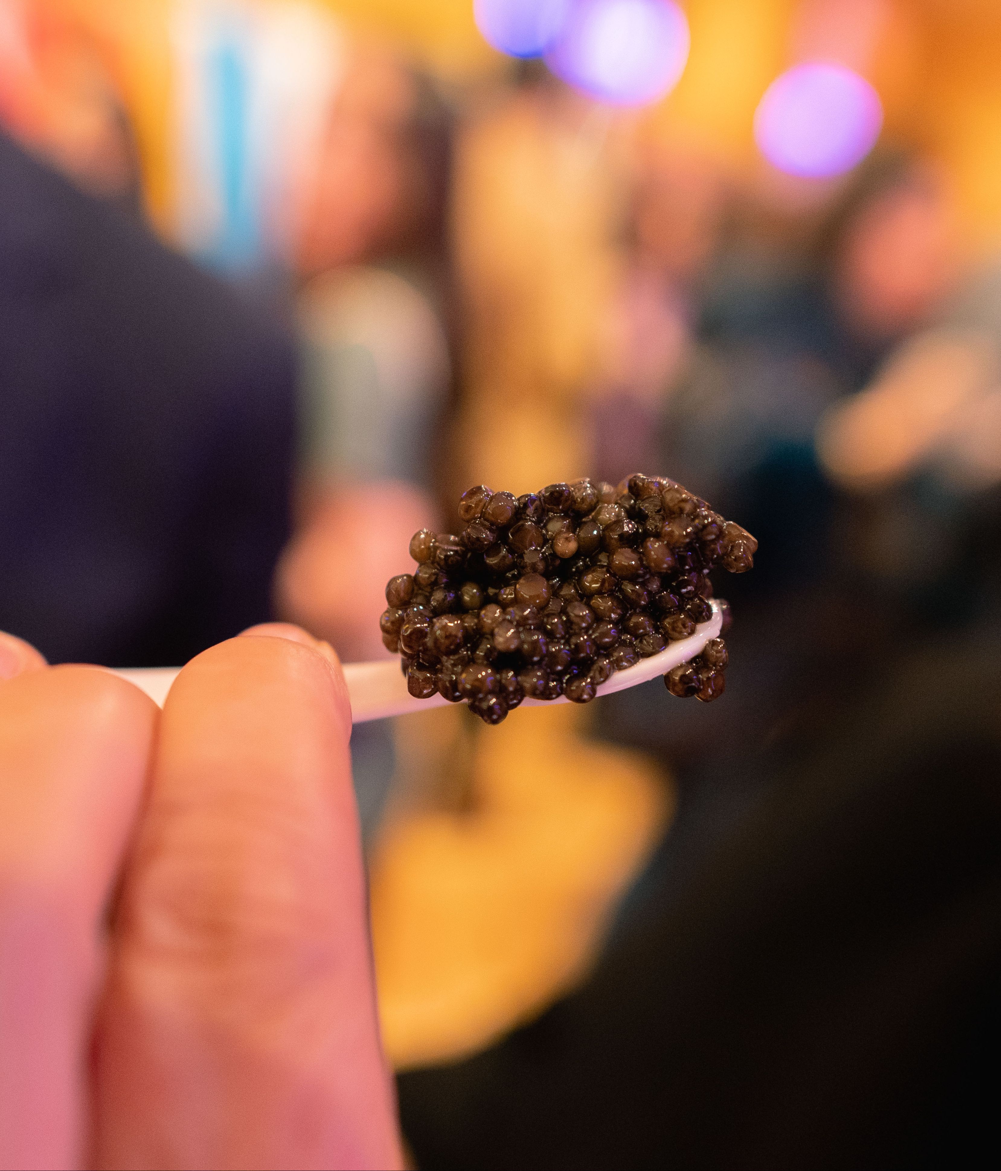 A&PxARdlP evento presentación 18