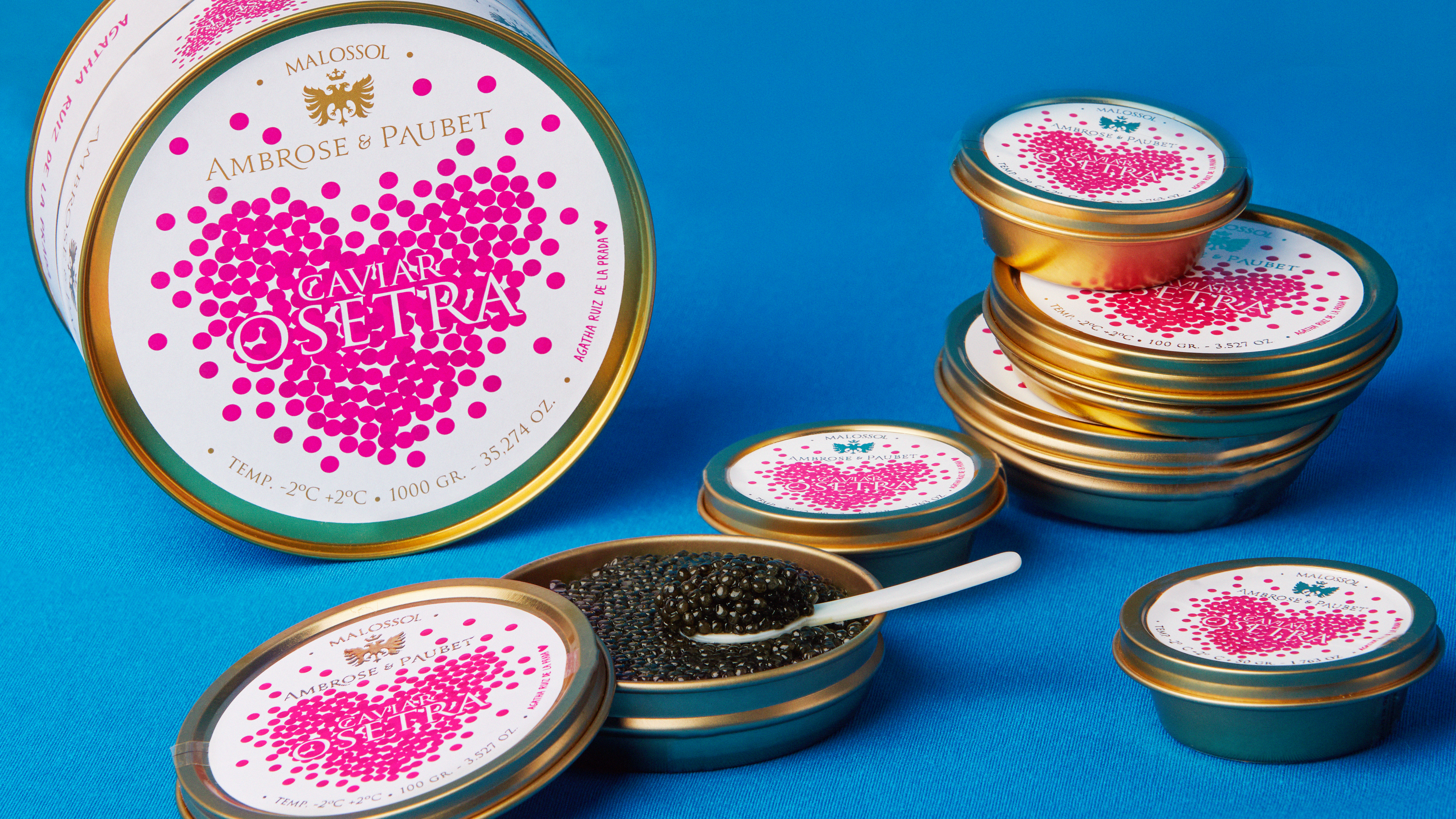 Ambrose&PaubetxAgathaRuizdelaPrada5