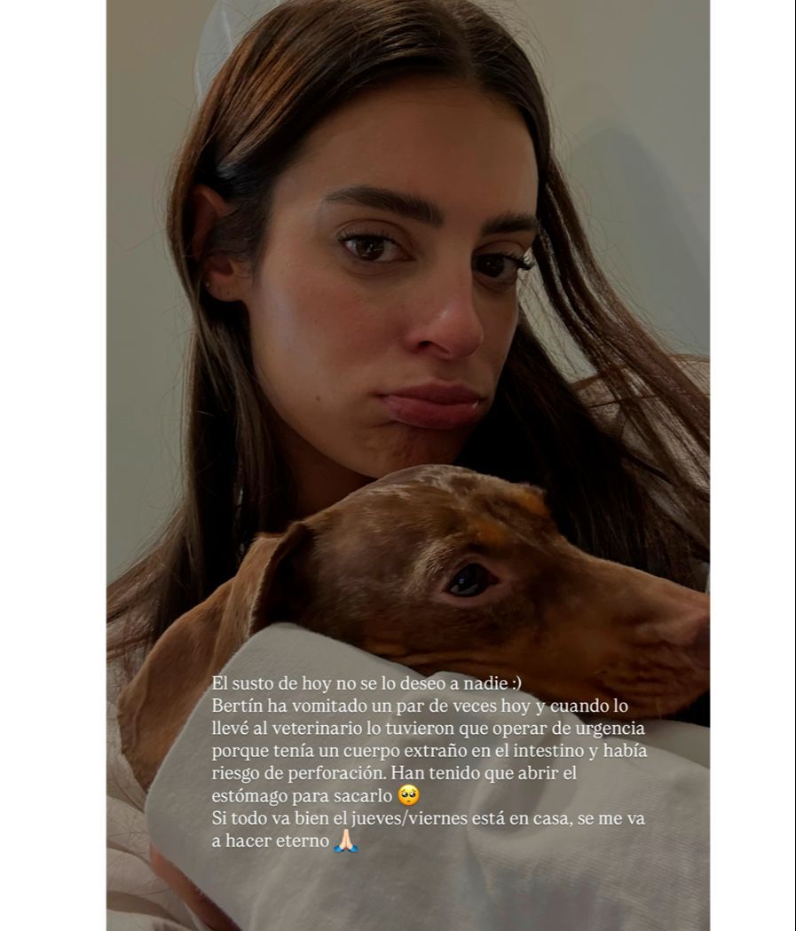 Susana Molina actualiza el estado de salud de su perrito Bertín