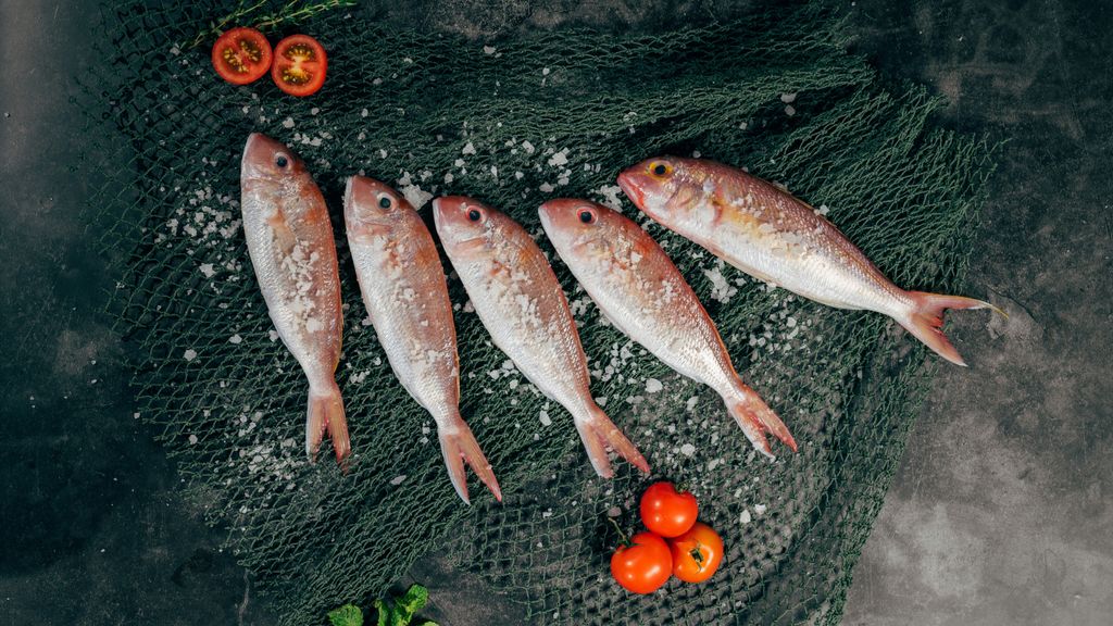 congelar pescado unsplash