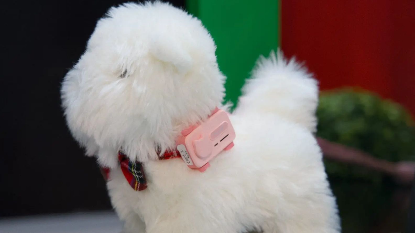 El Petphone de GlocalMe