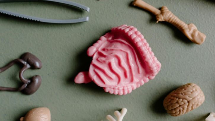 La importancia de los jugos gástricos