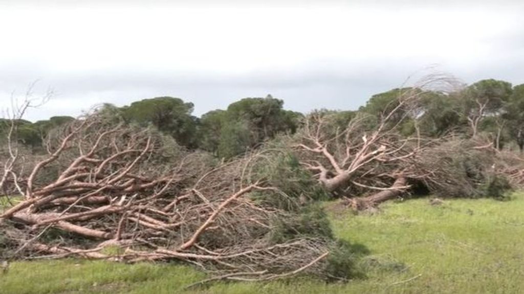 La borrasca Jana provoca derrumbes de rocas, inundaciones y cortes de carreteras en Andalucía
