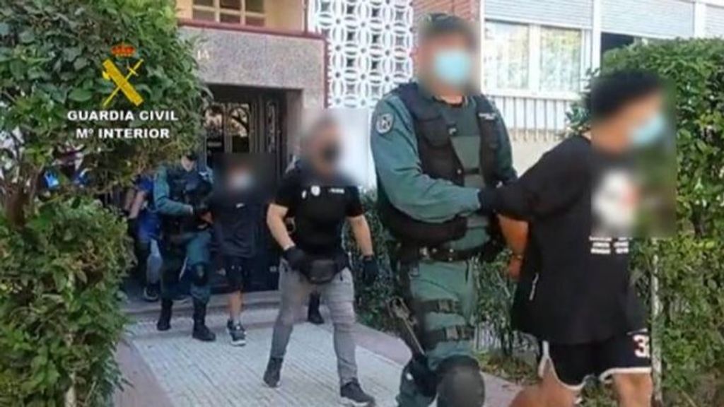 Detención  de miembros de la banda Dominican Don't Play en una operación en Madrid