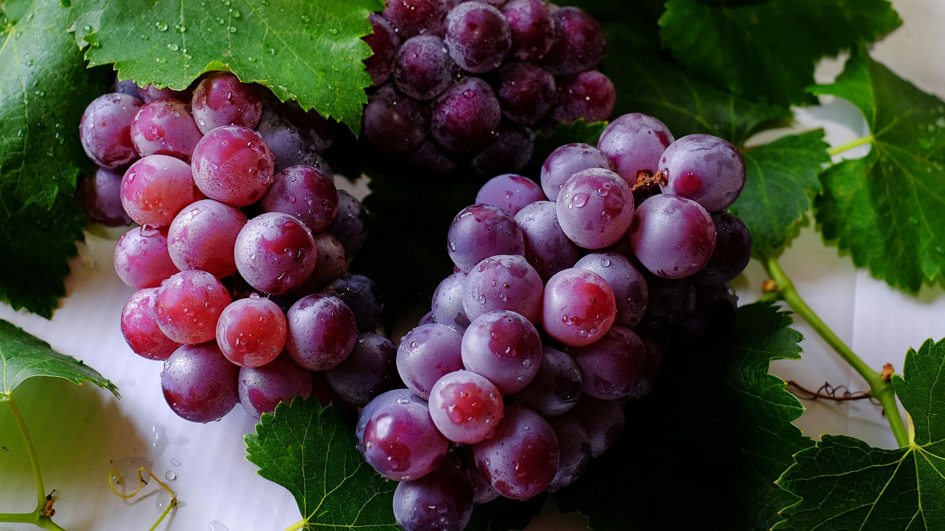 Racimos de uvas, fuente de resveratrol