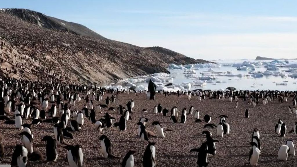 Un estudio revela el efecto analgésico de las imágenes de naturaleza