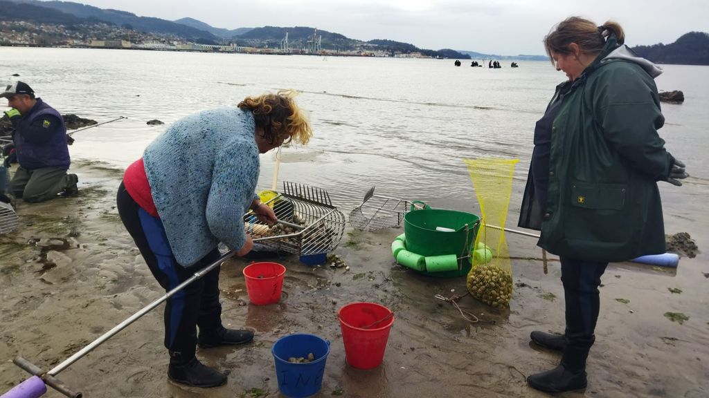 Mariscadoras faenando en la ría