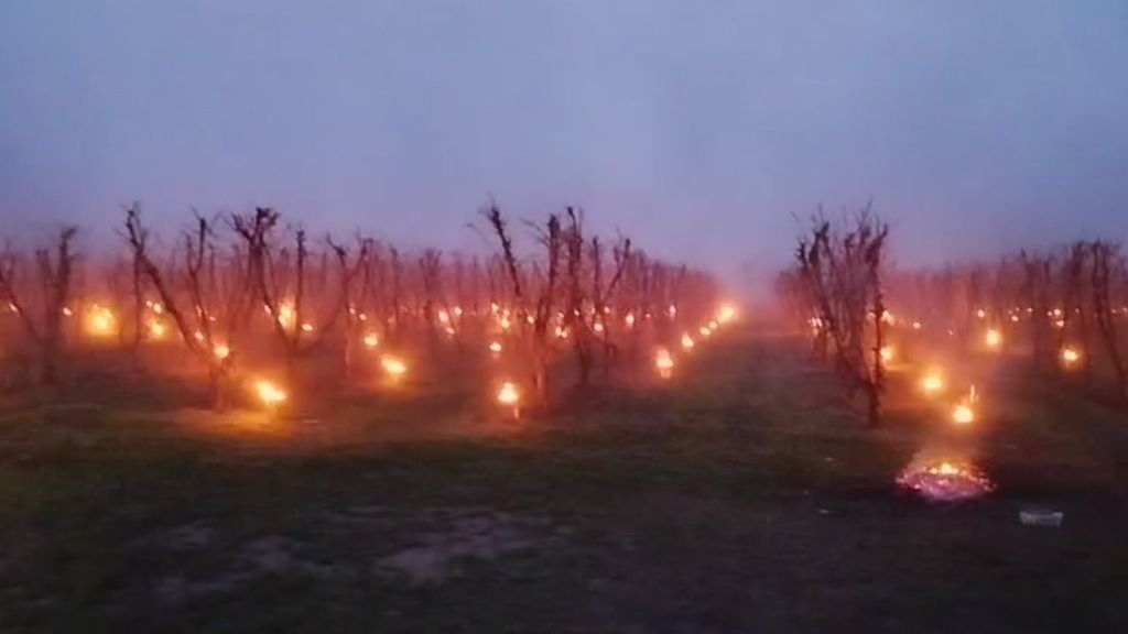 Hogueras en Lleida