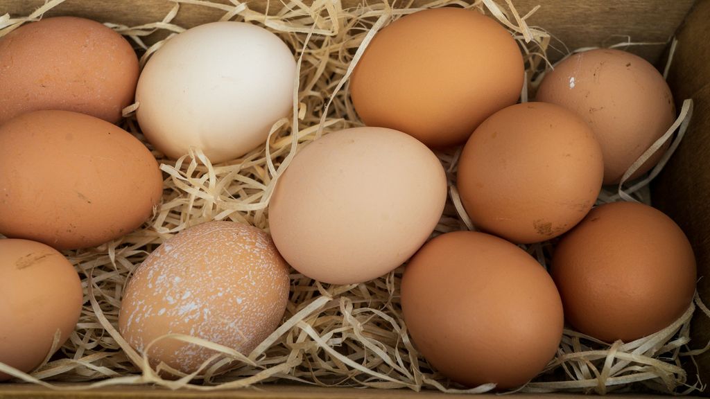 huevos unsplash