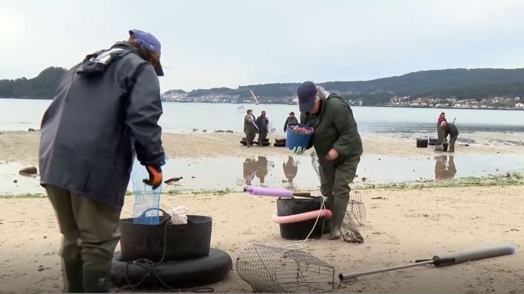 Los mariscadores en Galicia se quedan sin relevo generacional