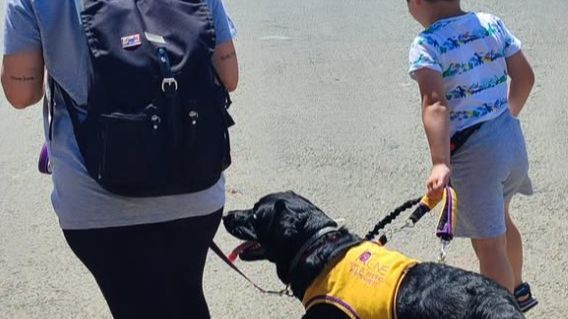 Perros asistencia para niños TEA