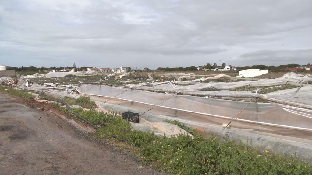Tornados en Huelva y Cádiz causan daños en explotaciones agrícolas y arbolado
