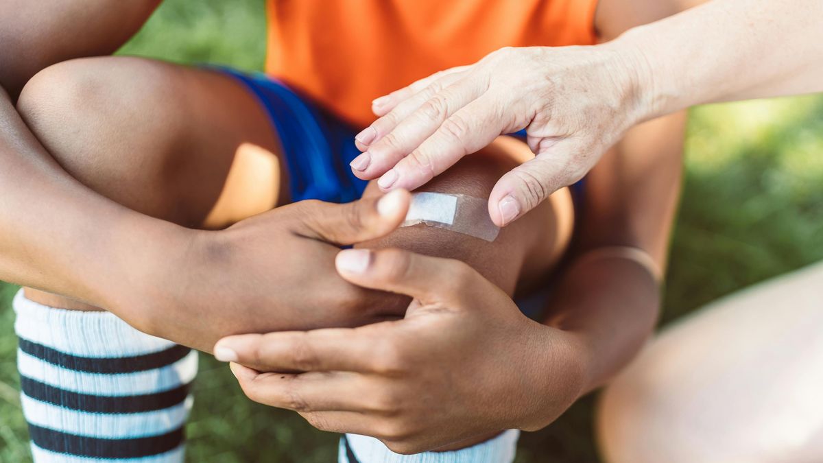 Un tipo de células inmunes generan una barrera de colágeno que protege las heridas de infecciones.