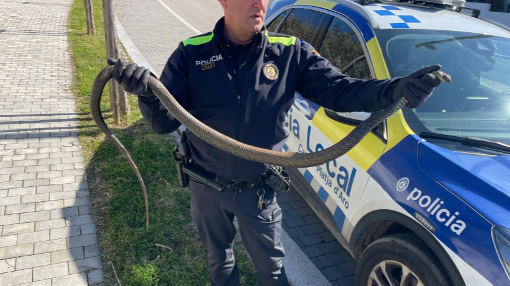 Un agente con la serpiente verde en Girona