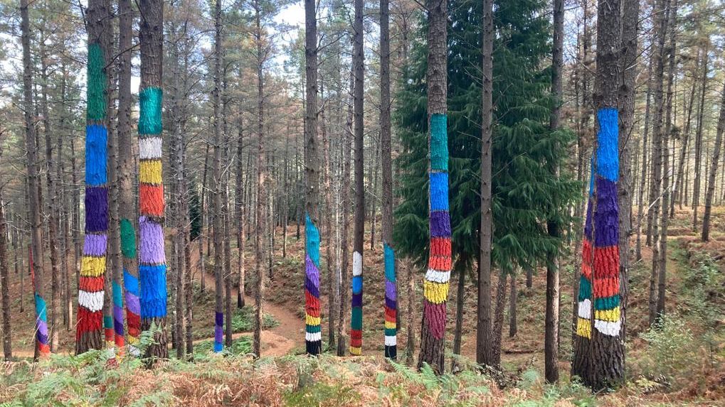 Bosque pintado de Oma