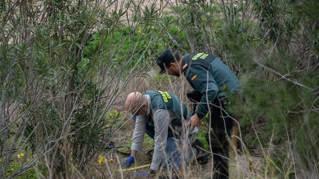 Detenido un hombre por el asesinato de una mujer de Sevilla cuyos restos se encontraron en Gandía