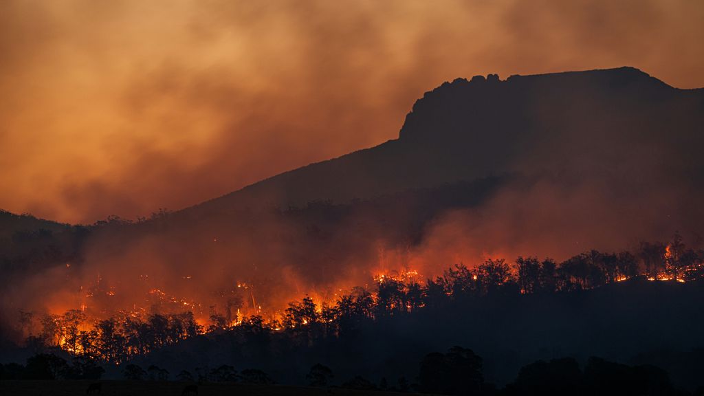 Incendios forestales