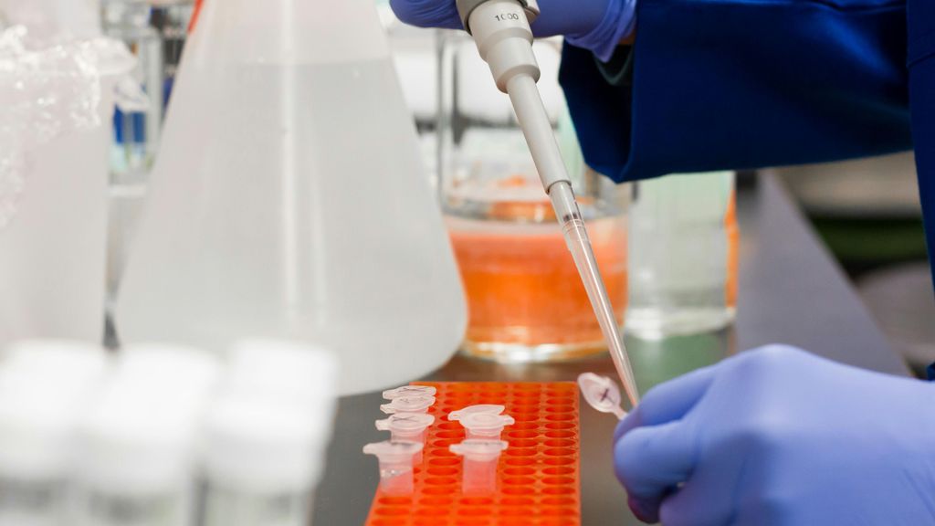 laboratorio neuronas