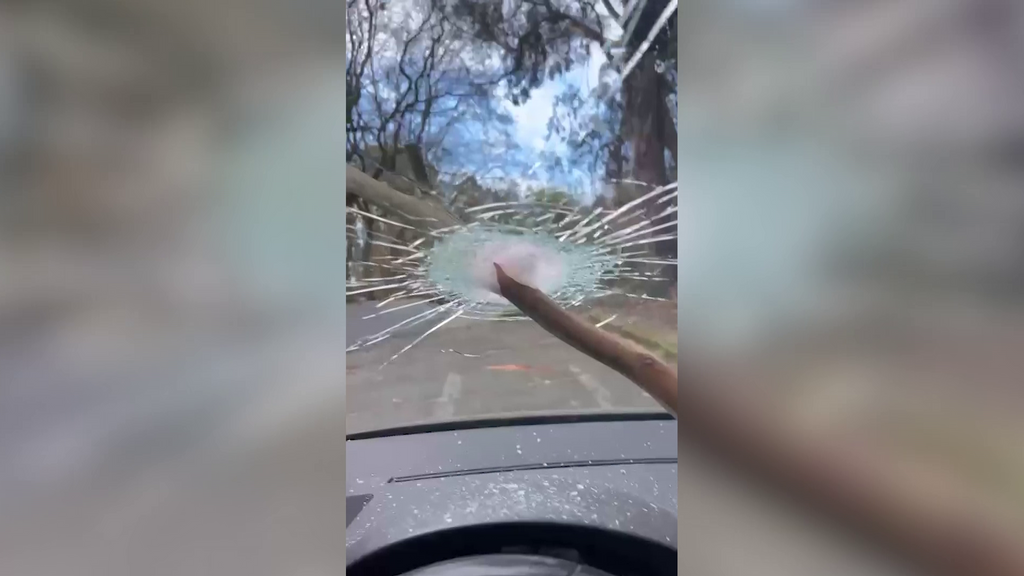 Un árbol cae sobre un coche en Oleiros, A Coruña