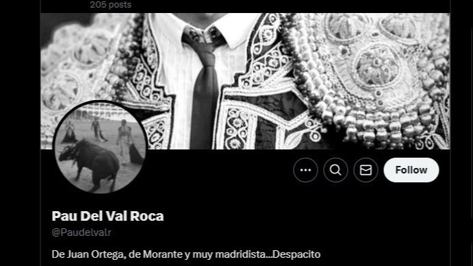 Perfil de X de Pau del Val