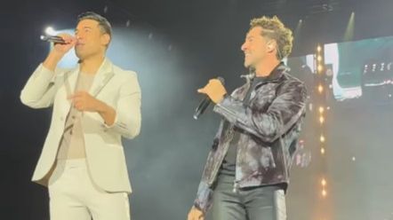 Carlos Rivera y David Bisbal.