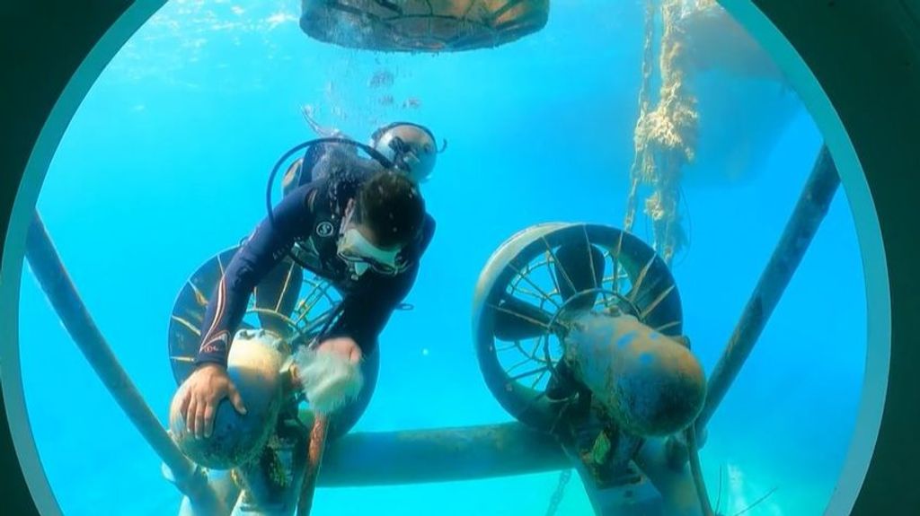 Hundimiento de un submarino turístico en Egipto: mueren seis personas