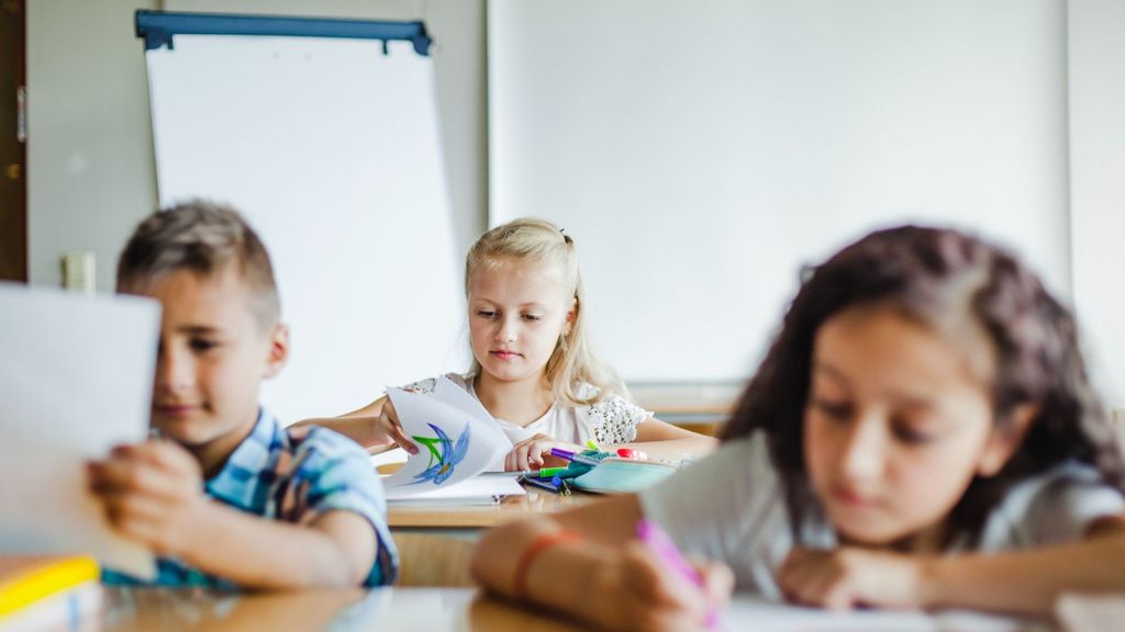 Este curso se ha terminado de implementar la LOMLOE