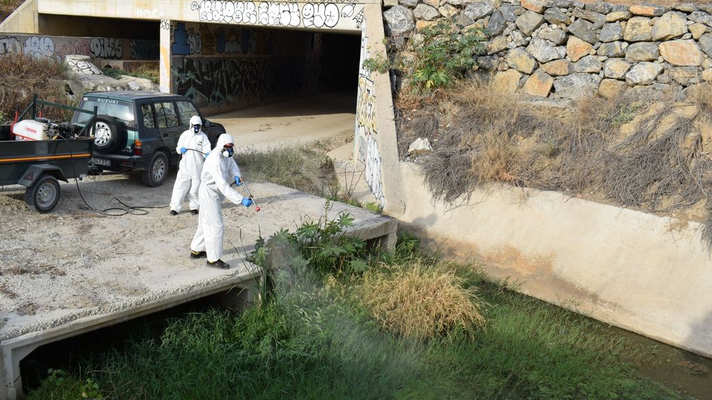Fumigación en Alhaurín de la Torre, Málaga, por el virus del Nilo
