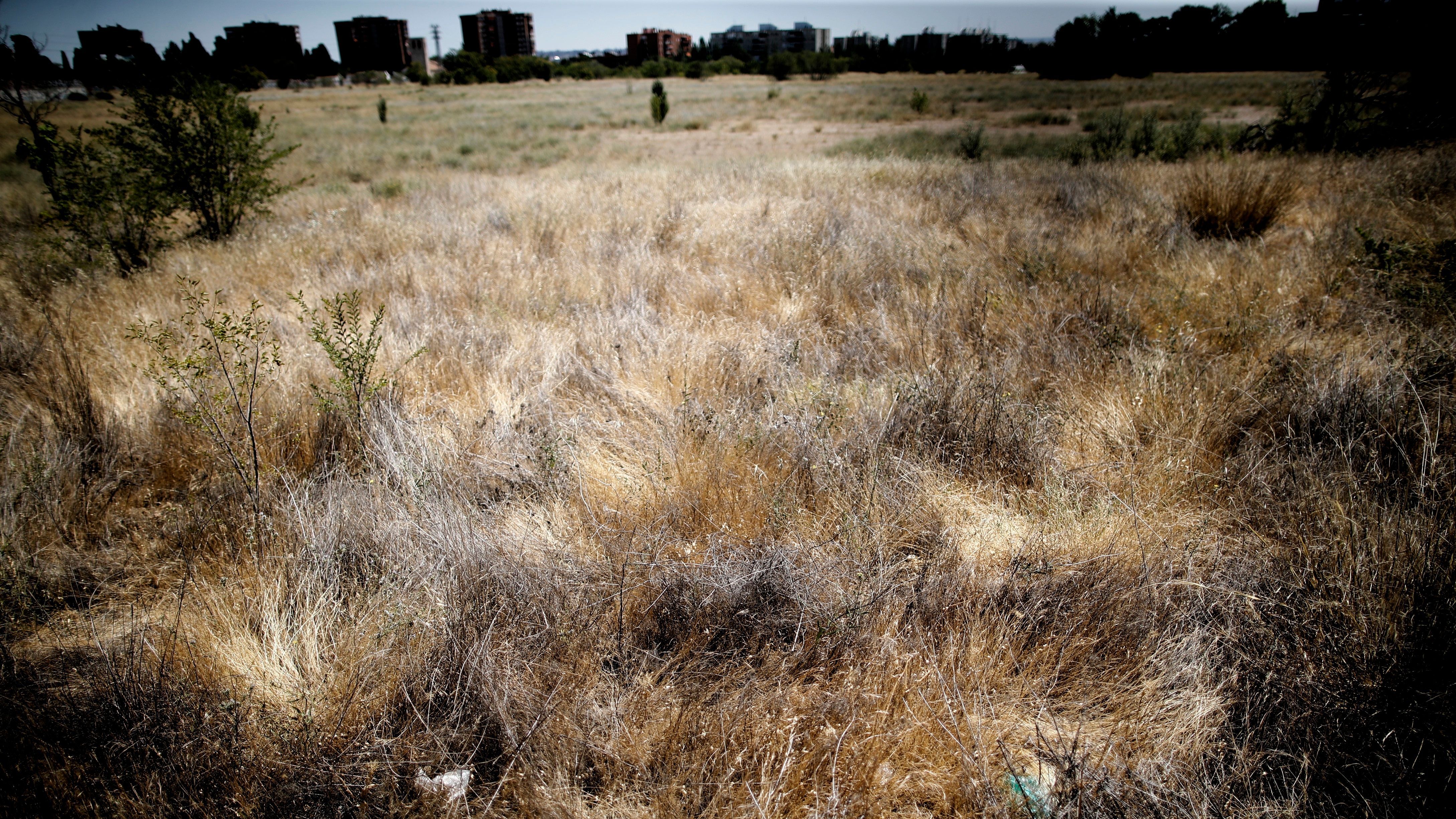 EuropaPress 2298403 terreno encontraba antigua carcel carabanchel cual ayutamiento madrid