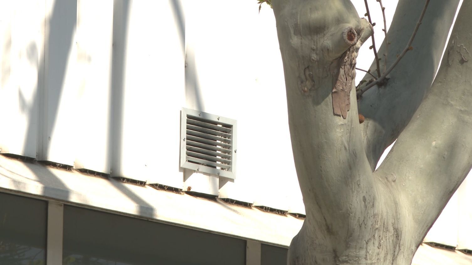 Salida de humo de la empresa afectada