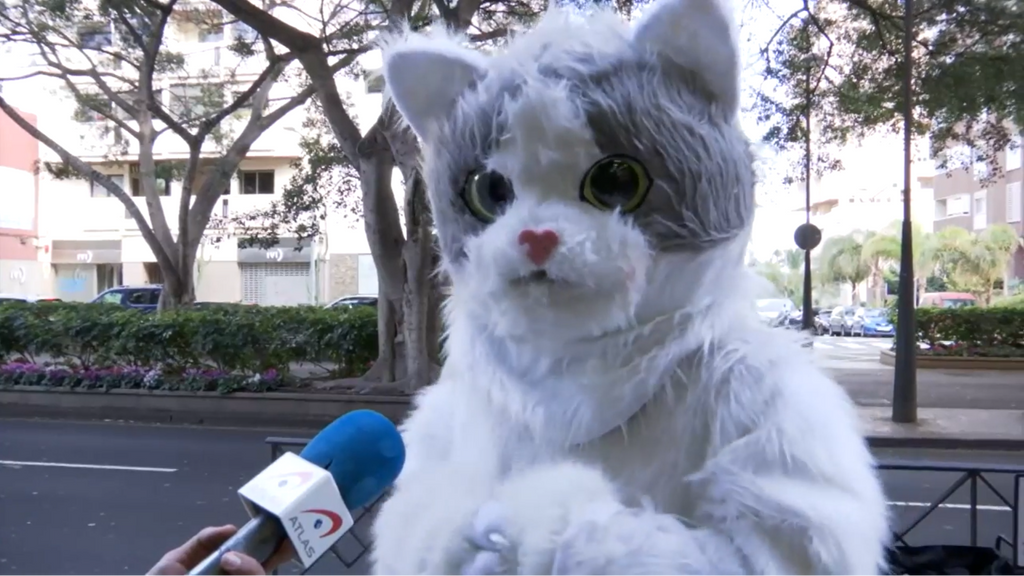 Miaumorsito, un joven de Tenerife que se disfraza para ayudar a los gatos callejeros
