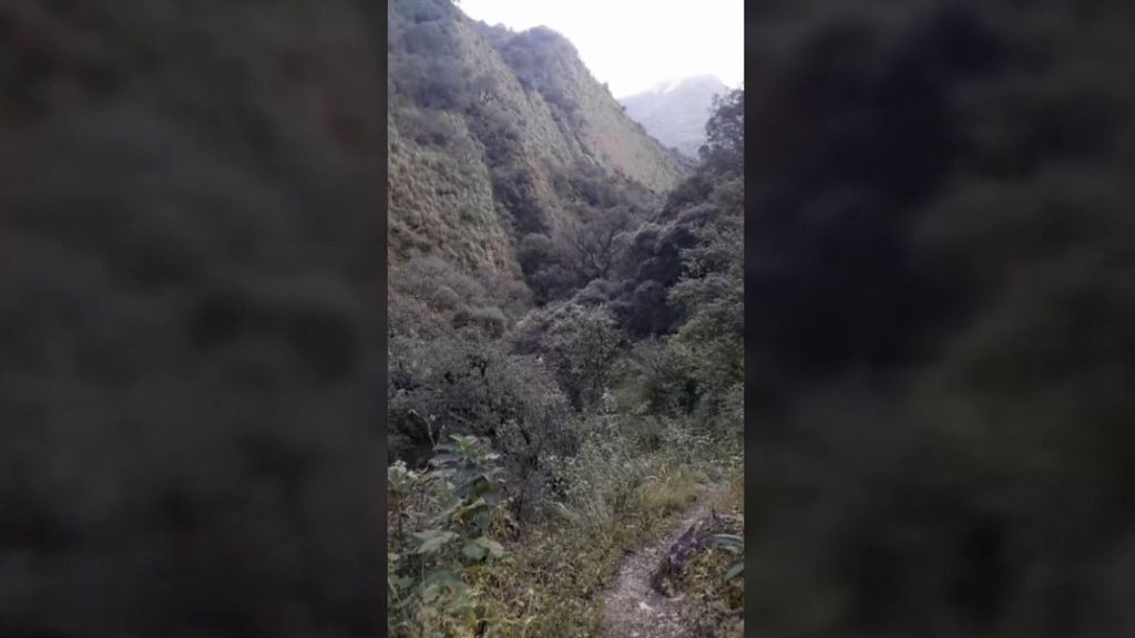 ¿Un ucumar en Argentina? Se vuelve a hablar de este ser mitológico tras grabar un extraño rugido Cuarto Milenio Temporada 20 Top Vídeos 576