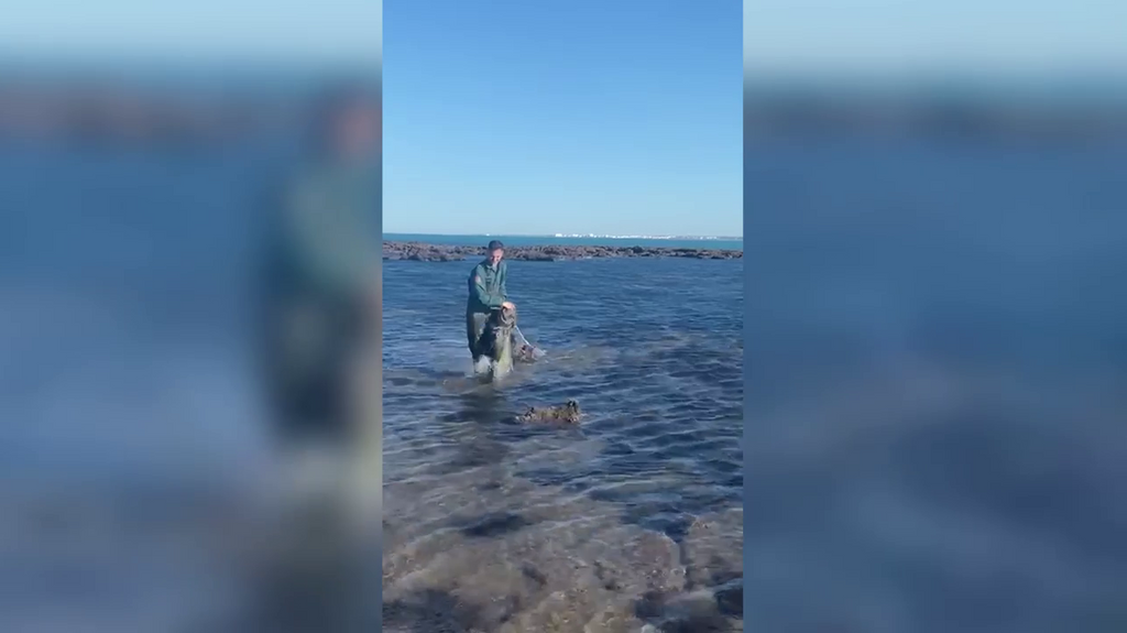 El Seprona de Cádiz retira un trasmallo ilegal en la playa de la Caleta