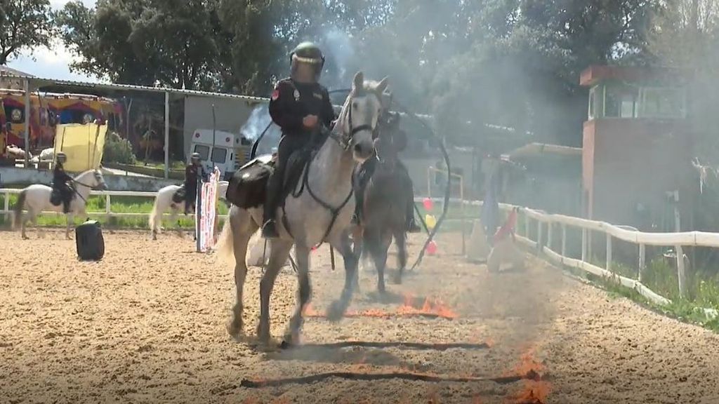 El trabajo de la Unidad de Caballería de la Policía Nacional