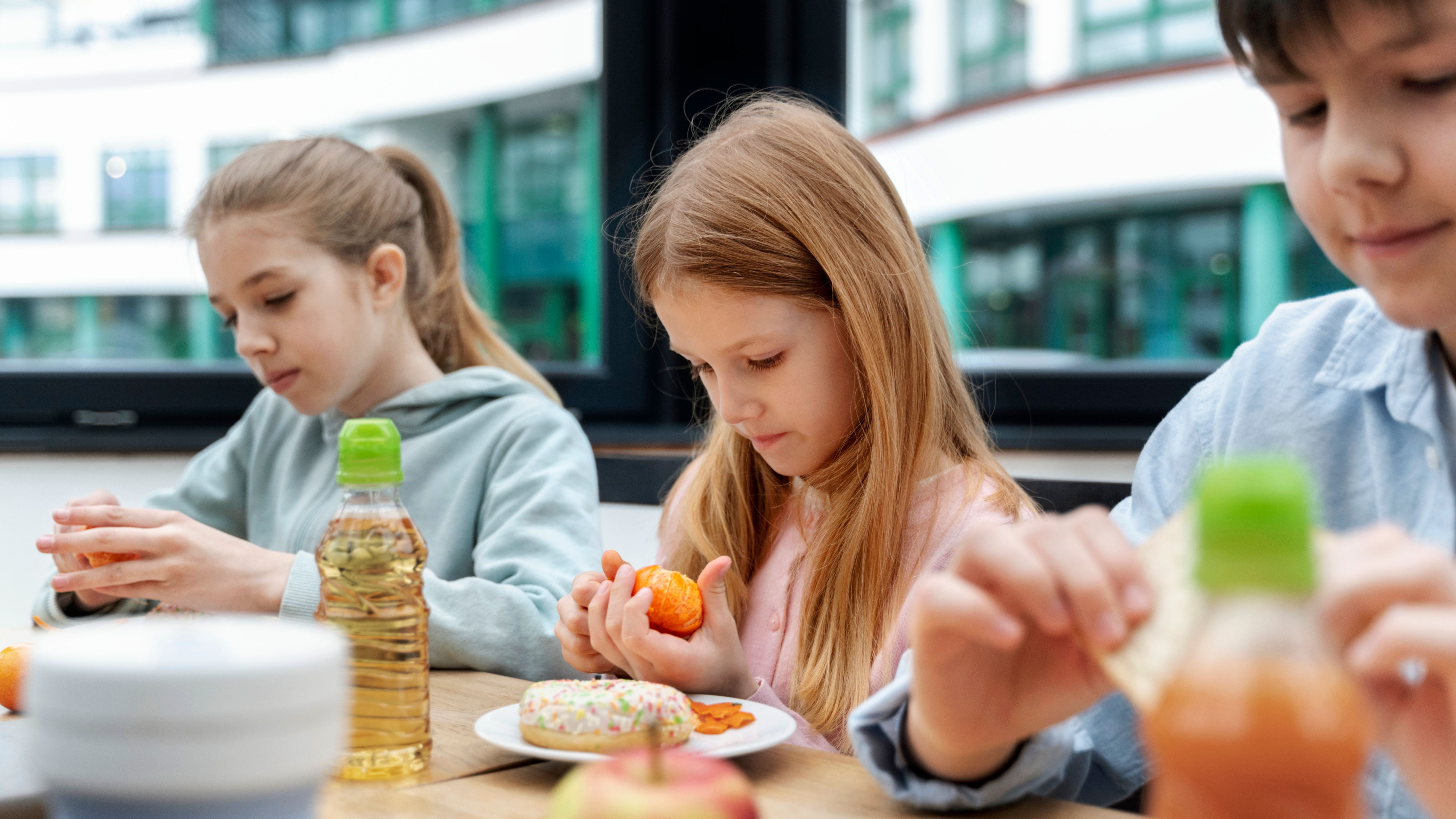 El comedor escolar despierta dudas en los padres
