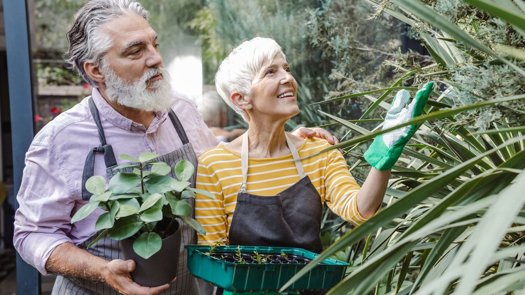 Senior eco-friendly