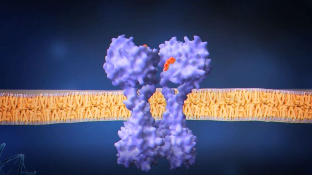 Descubren una nueva vía de ataque contra las superbacterias