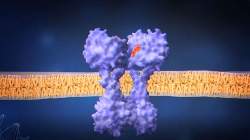 Descubren una nueva estrategia para luchar contra las superbacterias