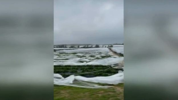 La borrasca Nuria provoca un tornado en Huelva: varias fincas arrasadas y cuatro jornaleras heridas en San Bartolomé de la Torre