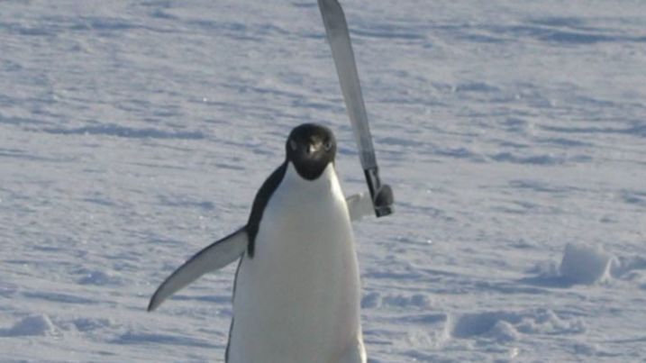 Meme a los aranceles de Trump sobre un archipiélago habitado por pingüinos y focas