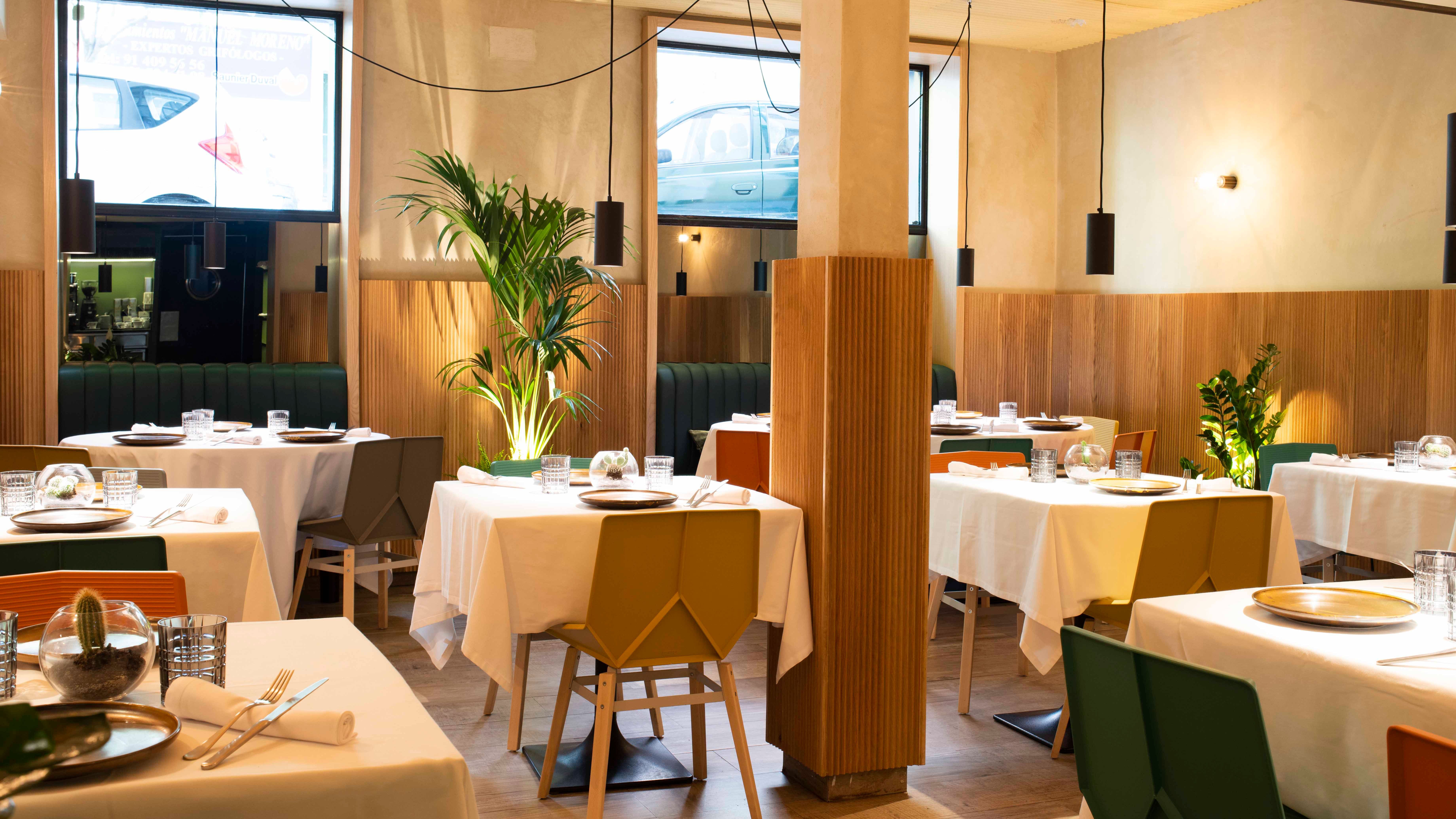 comedor restaurante salino en madrid